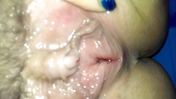 亚洲黑猫的训练，以掩婊子奶