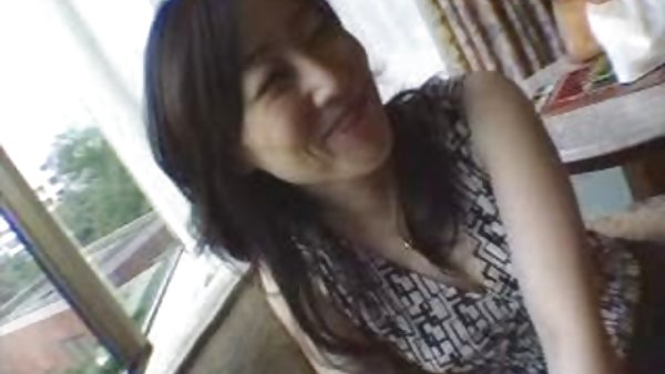 性视频02超毛奶奶的猫的图片