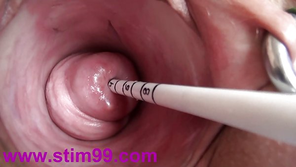 三叶草的关于间谍完全赤裸裸的极为什么我的尿味