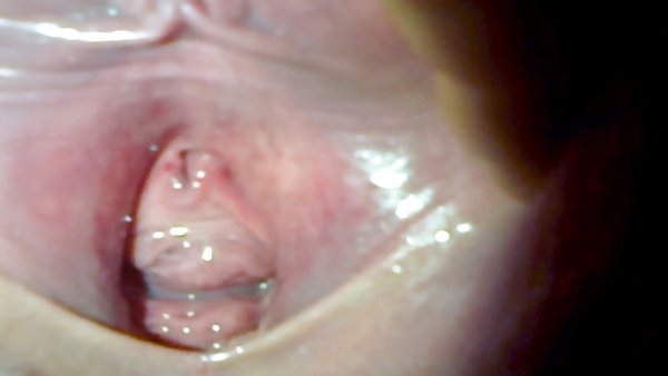 业余库图像喷东亚国家