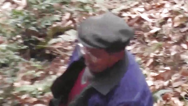 猫森林的宝贝黑头发的裸体